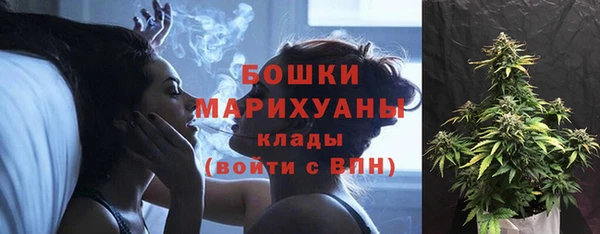 мдпв Медногорск