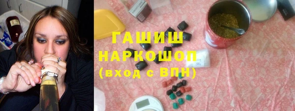 стаф Каменка