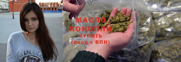 стаф Каменка