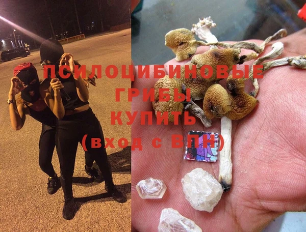 сатива Касимов