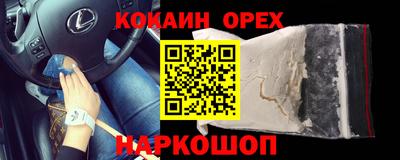 гашик Дубна