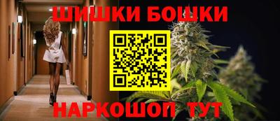 гашик Дубна