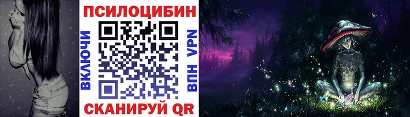 купить Кизилюрт Псилоцибиновые грибы мухоморы