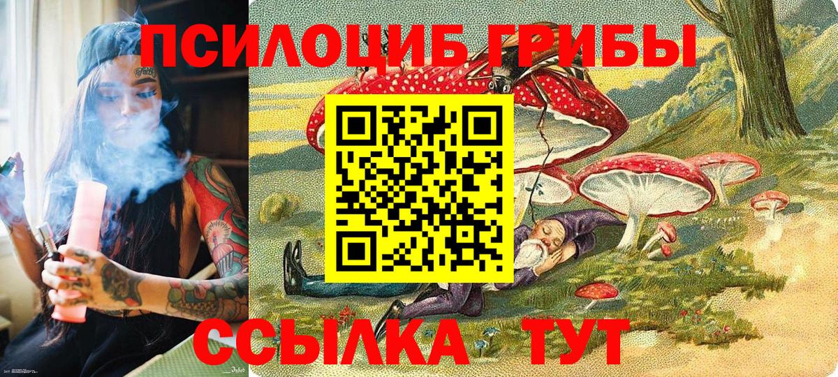 Псилоцибиновые грибы GOLDEN TEACHER Кизилюрт