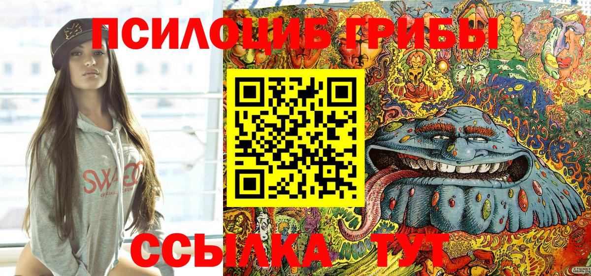 Кизилюрт  Псилоцибиновые грибы Magic Shrooms  Вход с VPN 